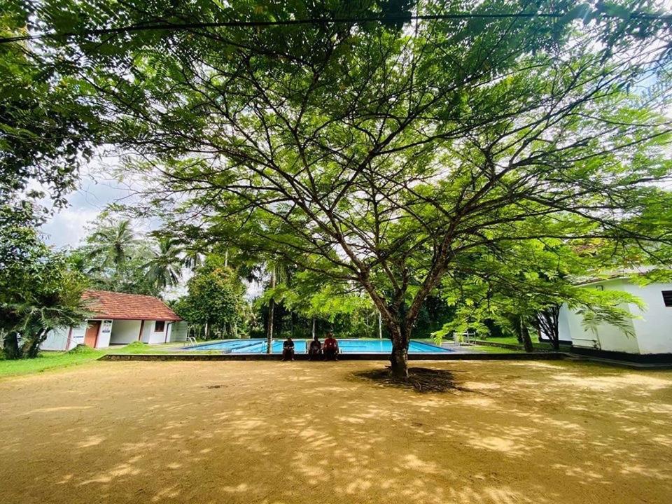 Randiyaepiliyagoda Resort Avissawella Esterno foto