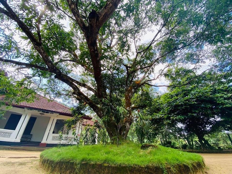 Randiyaepiliyagoda Resort Avissawella Esterno foto