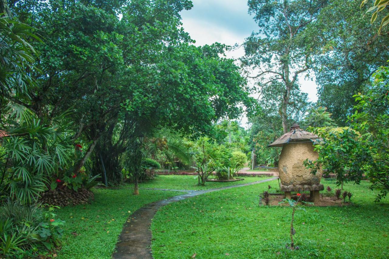 Randiyaepiliyagoda Resort Avissawella Esterno foto