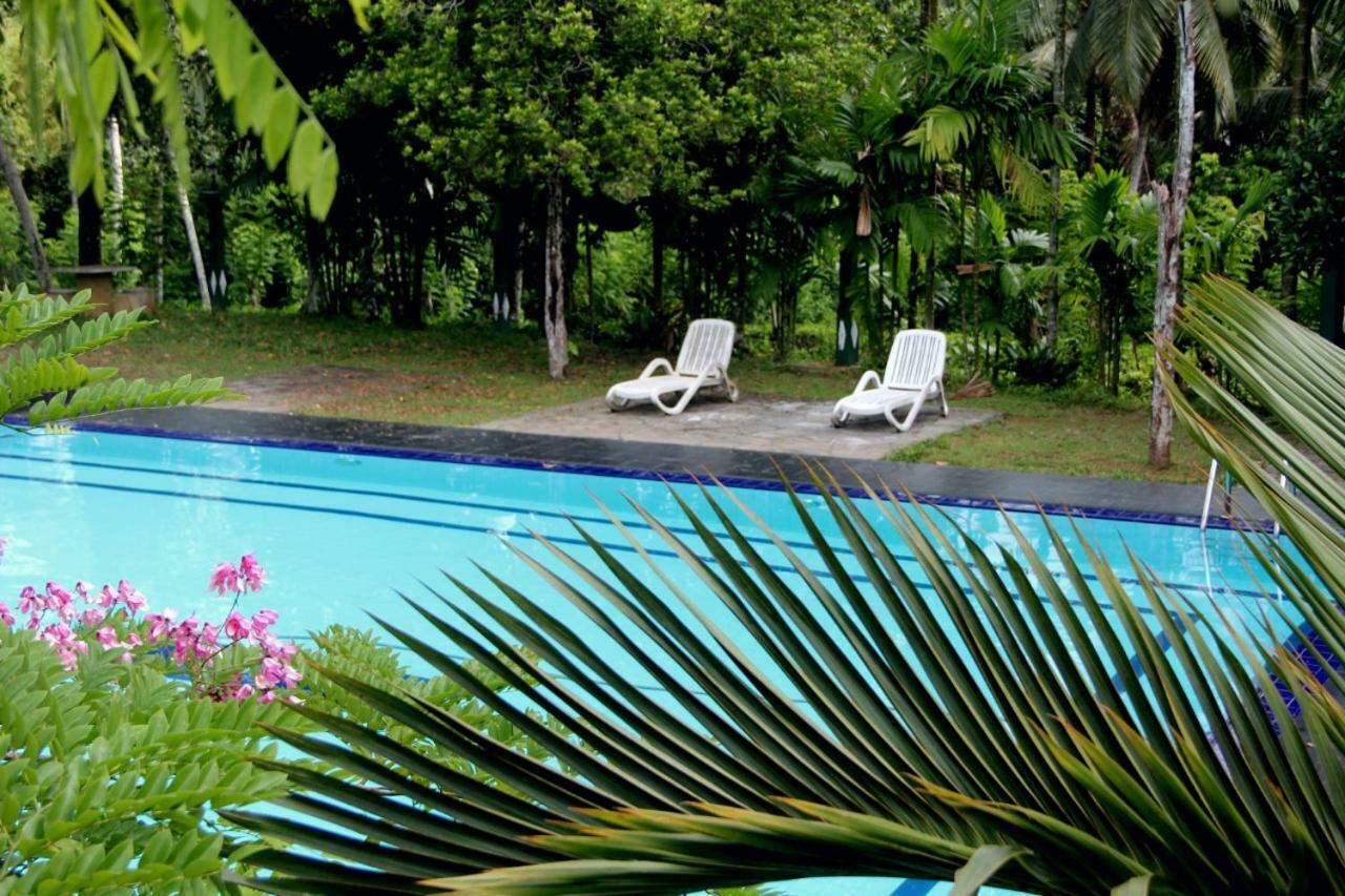 Randiyaepiliyagoda Resort Avissawella Esterno foto
